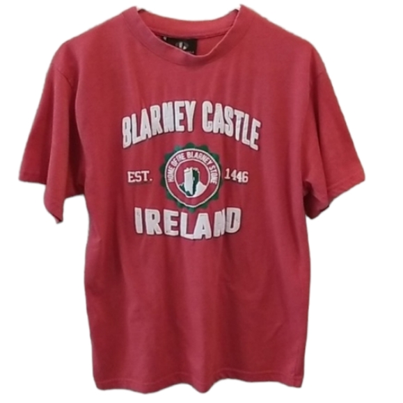 🇮🇪Blarney Castle Ireland tee, size medium. - Picture 2 of 6